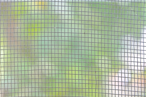 Wire Mesh: Pest Control